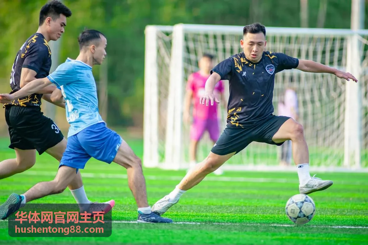 华体网官网主页球队数据与战报解读