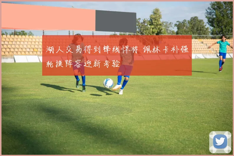 湖人交易得到锋线悍将 佩林卡补强轮换阵容迎新考验