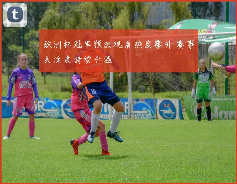 欧洲杯冠军预测观看热度攀升 赛事关注度持续升温