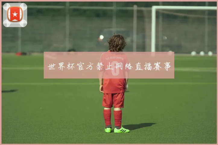 世界杯官方禁止网络直播赛事